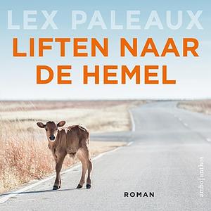 Liften naar de hemel by Lex Paleaux