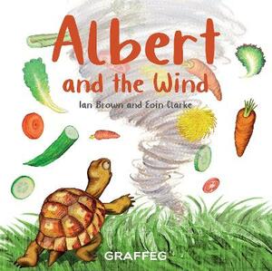 Albert and the Wind by Eoin Clarke, Ian Brown