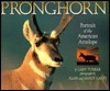 Pronghorn by Gary Turbak