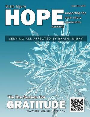 Brain Injury Hope Magazine - December 2018 by David A. Grant, Sarah Grant