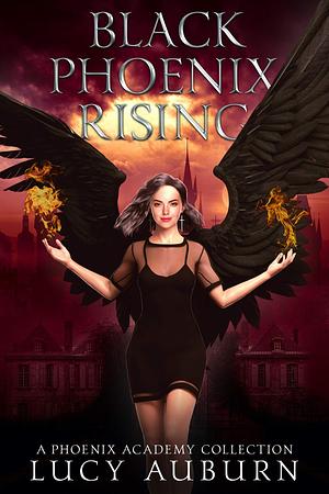 Black Phoenix Rising: A Phoenix Academy Collection by Lucy Auburn