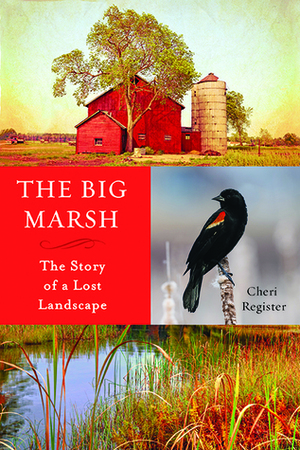 The Big Marsh: The Story of a Lost Landscape by Cheri Register