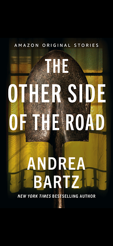 The Other Side of the Road by Andrea Bartz