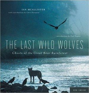 THE LAST WILD WOLVES: Ghosts of the Great Bear Rainforest by Ian McAllister, Ian McAllister