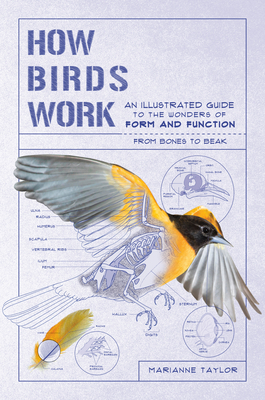 How Birds Work: An Illustrated Guide to the Wonders of Form and Function--From Bones to Beak by Marianne Taylor