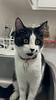 tcyr978's profile picture
