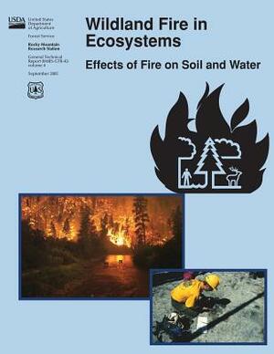 Wildland Fire in Ecosystems: Effects of Fire on Soil and Water by Forest Service