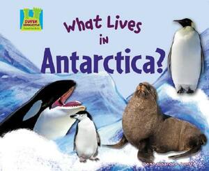 What Lives in Antarctica? by Oona Gaarder-Juntti