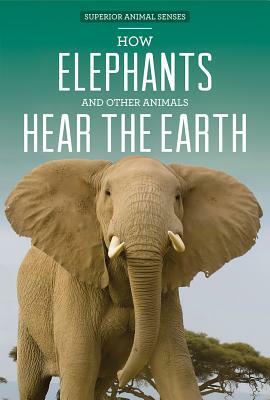 How Elephants and Other Animals Hear the Earth by Caitie McAneney, Caitie McAneney