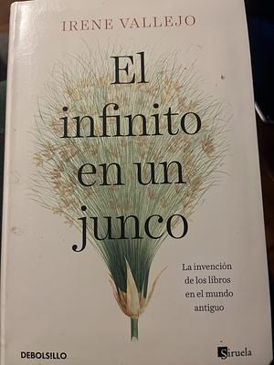 El infinito en un junco by Irene Vallejo