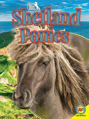 Shetland Ponies by Pamela Jain Dell