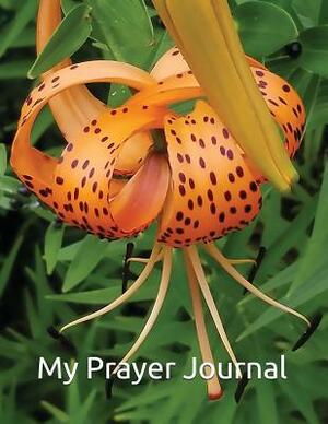 My Prayer Journal: Romans 12:12 Be joyful in hope, patient in affliction, faithful in prayer. by Rose Elaine