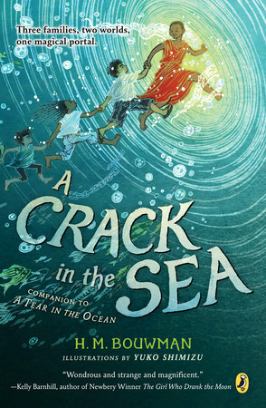 A Crack in the Sea by H.M. Bouwman