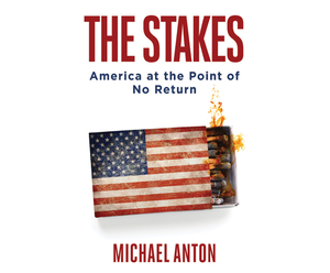 The Stakes: America at the Point of No Return by Michael Anton