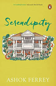 Serendipity Paperback by Ashok Ferrey