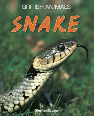 Snake. Stephen Savage by Stephen Savage