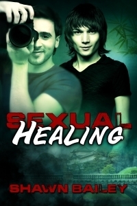 Sexual Healing by Shawn Bailey