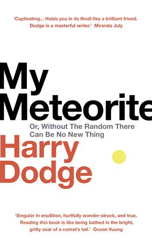 My Meteorite: Or, Without The Random There Can Be No New Thing by Harry Dodge