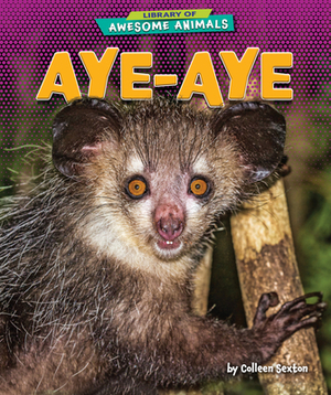 Aye-Aye by Colleen Sexton