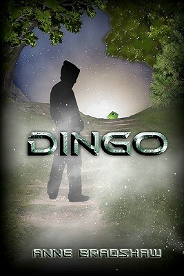 Dingo by Anne Bradshaw