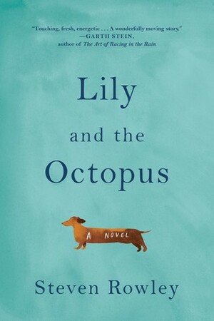 Lily i hobotnica by Steven Rowley