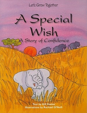 A Special Wish: A Story of Confidence by Gill Davies