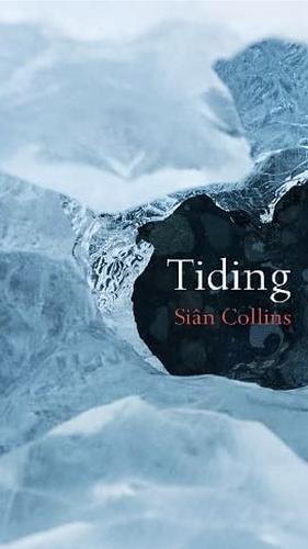 Tiding by Siân Collins