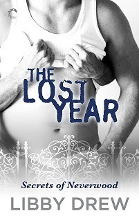 The Lost Year by Libby Drew