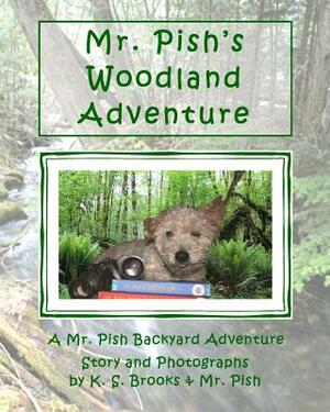 Mr. Pish's Woodland Adventure by K. S. Brooks, Pish