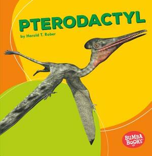 Pterodactyl by Harold Rober