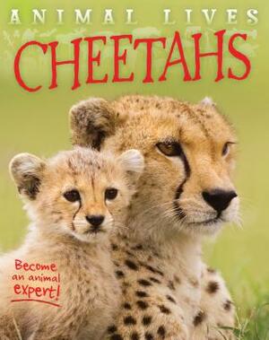 Cheetahs by Sally Morgan