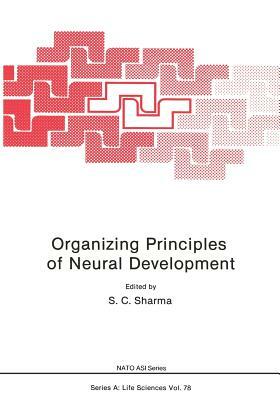 Organizing Principles of Neural Development by 