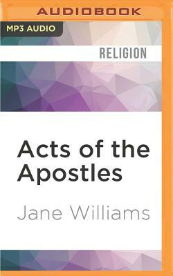 Acts of the Apostles by Jane Williams