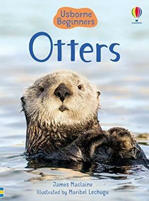 Beginners: Otters by James MacLaine