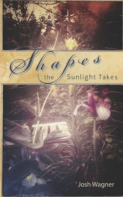 Shapes the Sunlight Takes by Josh Wagner