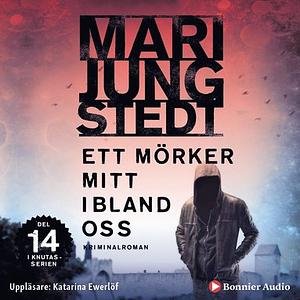 Ett mörker mitt ibland oss by Mari Jungstedt