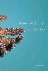 Tusen små bitar by James Frey