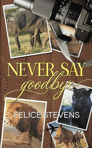 Never Say Goodbye by Felice Stevens