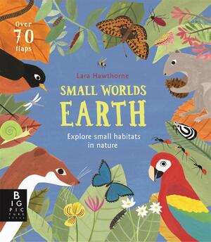 Small Worlds: Earth by Camilla de la Bédoyère, Lara Hawthorne