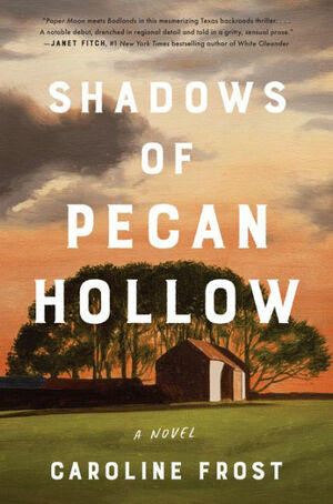 Shadows of Pecan Hollow by Caroline Frost