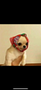 mirnski's profile picture