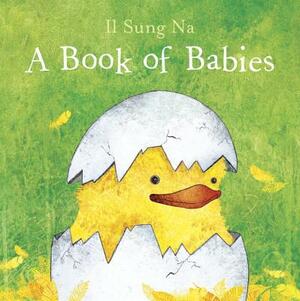 A Book of Babies by Il Sung Na