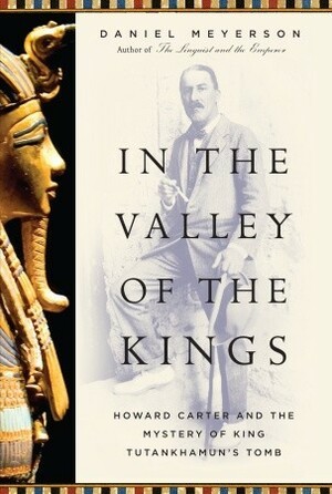 In the Valley of the Kings: Howard Carter and the Mystery of King Tutankhamun's Tomb by Daniel Meyerson