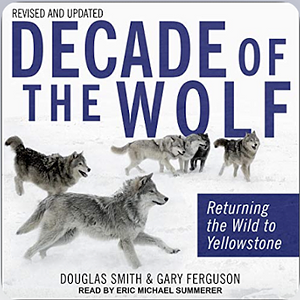 Decade of the Wolf Returning the Wild to Yellowstone by Gary Ferguson, Douglas Smith