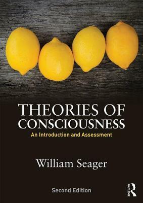 Theories of Consciousness: An Introduction and Assessment by William Seager