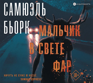 Мальчик в свете фар by Samuel Bjørk, Самюэль Бьорк