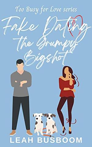 Fake Dating the Grumpy Bigshot by Leah Busboom