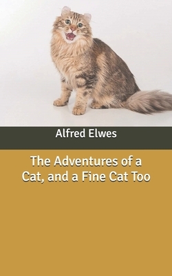The Adventures of a Cat, and a Fine Cat Too by Alfred Elwes