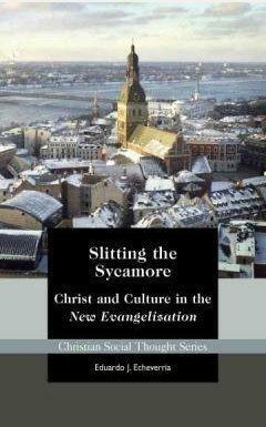 Slitting The Sycamore Christ And Culture In The New Evangelization by Eduardo J. Echeverria, Kevin Schmiesing