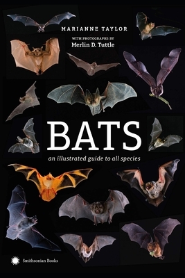 The Bat Illustrated by Mary Roberts Rinehart